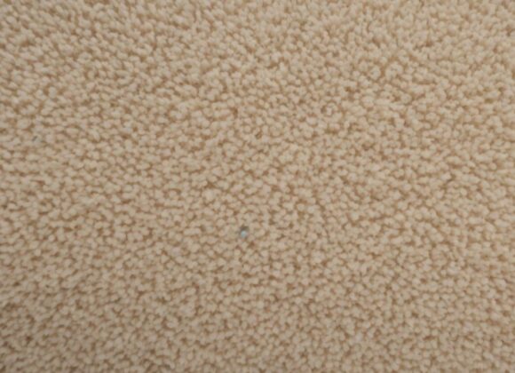 Can I Carpet Clean A Mattress Can I Carpet Clean A Mattress