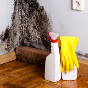 What Is The Best Way To Remove Mould From Walls