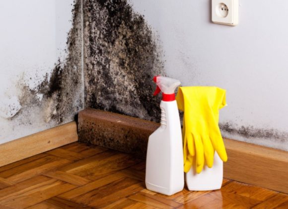 What Is The Best Way To Remove Mould From Walls What Is The Best Way To Remove Mould From Walls