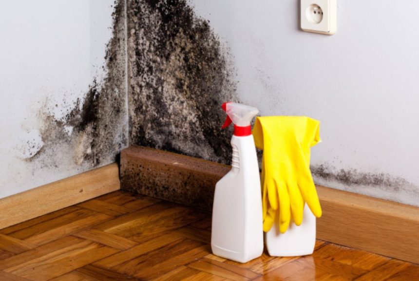 What Is The Best Way To Remove Mould From Walls